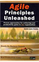 Agile Principles Unleashed: Proven Approaches for Achieving Real Productivity Gains in Any Organisation
