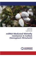 miRNA Mediated Whitefly resistance in Cotton (Gossypium Hirsutum)