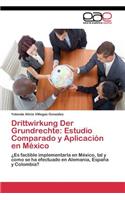 Drittwirkung Der Grundrechte: Estudio Comparado y Aplicación en México