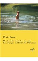 Der deutsche Lausbub in Amerika: Erinnerungen und Eindrücke. Dritter Teil(German)