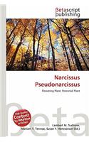 Narcissus Pseudonarcissus: (English)