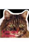 Cats & Kittens :128pg Pets Series