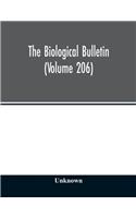 Biological bulletin (Volume 206)