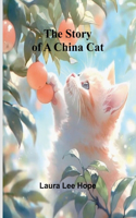 Story of a China Cat