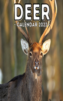 Deer Calendar 2022