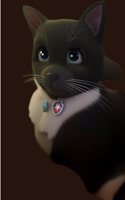 Finnigan's adventures: Around the block(1 Finnigan's Adventures)