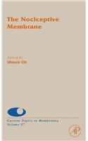 The Nociceptive Membrane