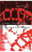 Creation Through Wisdom