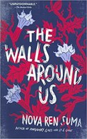 The Walls Around Us