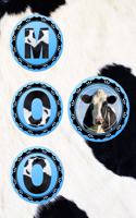 Moo