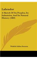 Labrador: A Sketch Of Its Peoples, Its Industries, And Its Natural History (1883)