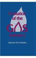 Evolution of the Gas Industry