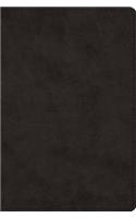 ESV Wide Margin Reference Bible (Trutone, Black)