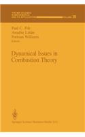 Dynamical Issues in Combustion Theory