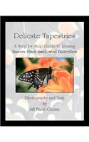 Delicate Tapestries: A Step by Step Guide to Raising Eastern Black Swallowtail Butterflies