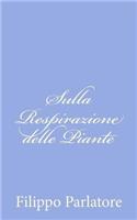Sulla Respirazione delle Piante