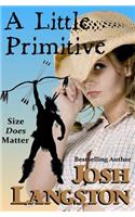 A Little Primitive