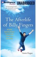 Afterlife of Billy Fingers