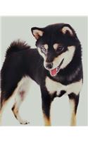 Shiba Inu: Artified Pets Journal/Notebook/Diary, 160 Pages