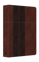 KJV Study Bible