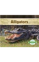 Alligators