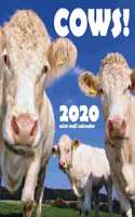 Cows! 2020 Mini Wall Calendar