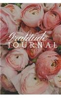 My Gratitude Journal