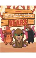 Step-by-Step Way to Draw Bear