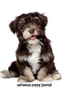 Havanese Puppy Journal