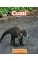 Coati: Fun Facts and Amazing Photos of Animals in Nature