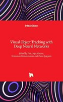 Visual Object Tracking with Deep Neural Networks