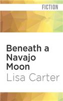 Beneath a Navajo Moon