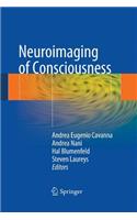 Neuroimaging of Consciousness