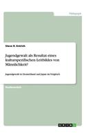 Jugendgewalt als Resultat eines kulturspezifischen Leitbildes von Männlichkeit?