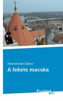 A fekete macska