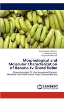 Morphological and Molecular Characterization of Banana cv Grand Naine