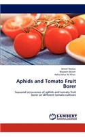 Aphids and Tomato Fruit Borer