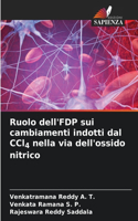 Ruolo dell'FDP sui cambiamenti indotti dal CCl4 nella via dell'ossido nitrico
