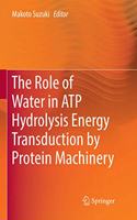 The Role of Water in ATP Hydrolysis Energy Transduction by Protein Machinery