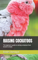 Raising Cockatoos