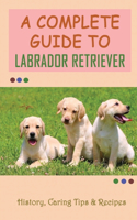 A Complete Guide To Labrador Retriever