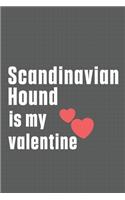Scandinavian Hound is my valentine: For Sarplaninac Dog Fans