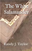 White Salamander