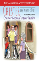 Amazing Journey of Chester the Wiener Dog