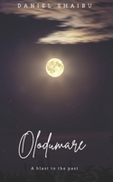 Olodumare: a blast to the past - African Novella