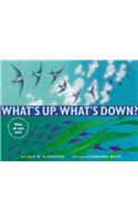 What's Up, What's Down?