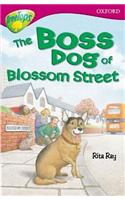 Oxford Reading Tree: Level 10: Treetops Stories: Boss Dog of Blossom Street