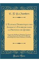 L'Ã?levage Domestique Des Animaux Ã? Fourrure Dans La Province de Quebec: ExposÃ© Des Meilleures MÃ©thodes Touchant La Reproduction Des Renards Et l'Ã?levage Domestique Des Autres Animaux Ã? Fourrure (Classic Reprint)