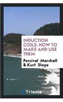 Induction Coils: How to Make and Use Them. a Practical Handbook on the ...