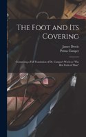 Foot and Its Covering